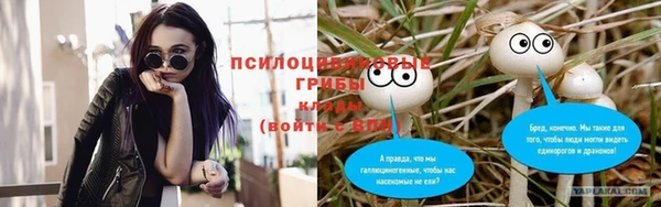 прущие крисы Абаза