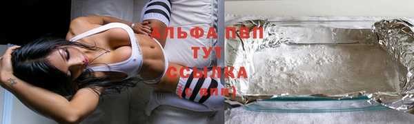 прущие крисы Абаза