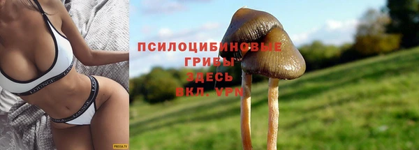 mdpv Абинск