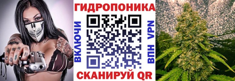 mega рабочий сайт  Ефремов  МАРИХУАНА SATIVA & INDICA 